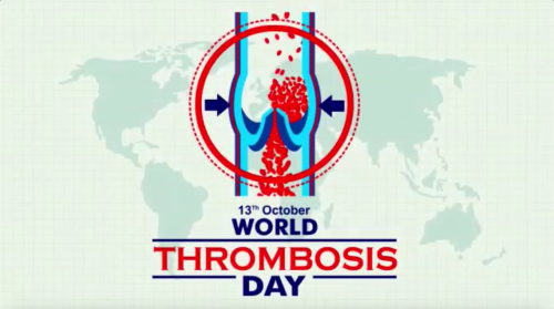 Screen Shot 2022-10-13 at 9.14.58 AM